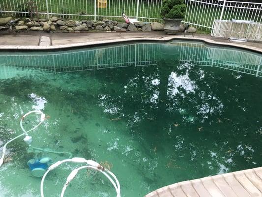 This is how the pool looks after 2 days- filled with leaves, silt, and a complete mess!