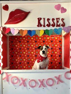 Buster Brown in the kissing booth Valentine's Day fundraiser.