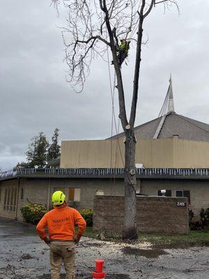 Doing a removal for the church to add a generator