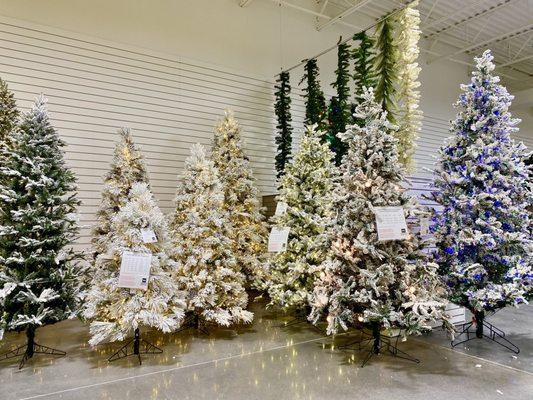 Beautiful corner of Christmas trees dusted with flocking