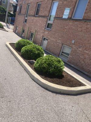 Mulch and trims