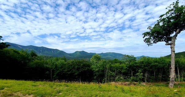 Views off the Kancamangus highway.