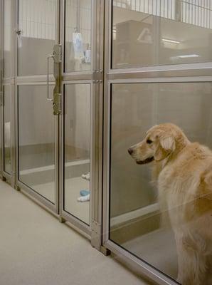 Parkway Veterinary Hospital Dog Kennels