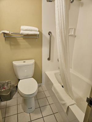 Clean toilet and shower