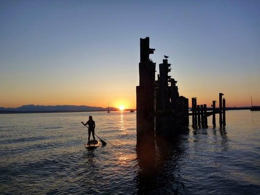 Evening Paddle Boarding at Shilshole