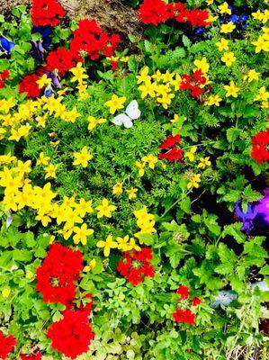 Marty's entrance is like walking through heavens door.  His flowers POP!