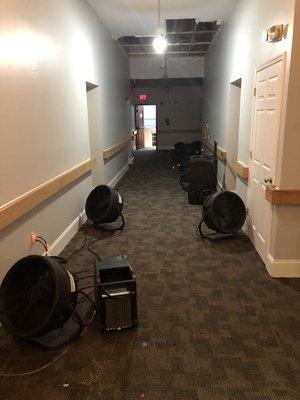 Drying chamber during a commercial drying job