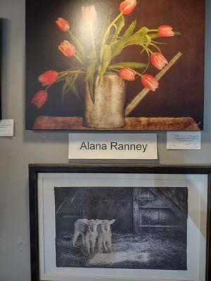 Maine Photographer Alana Ranney sells her award winning Fine Art images at High Peaks Artisan Guild in Kingfield, Maine