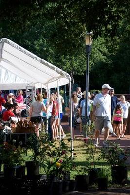 Visitors stroll the Davidson Farmer's Market.