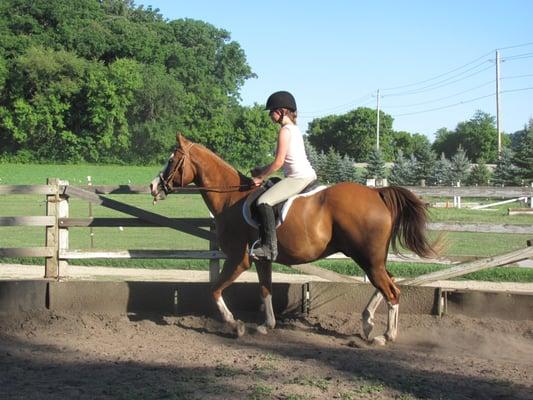 Aspen in the round pen