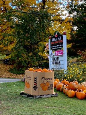 The sign of Ricker Hill with tons of pumpkins