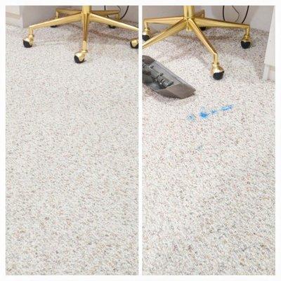 Complete Interiors Carpet Cleaning