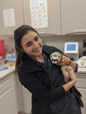 Spring Meadow Veterinary Clinic