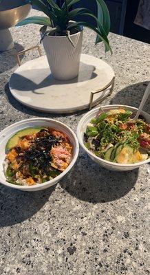 Vegetarian Bowl and Build Your Own Poke Bowl