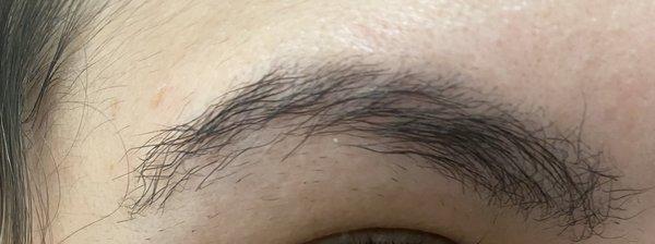 Brow lamination result