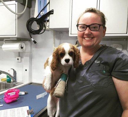 Hospital manager and tech assistant Kat getting ready to X-ray this pup with a broken leg.