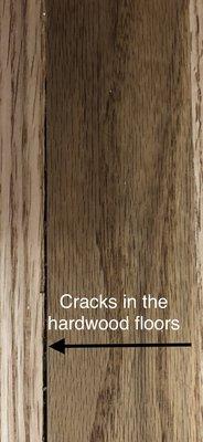 Cracks in the hardwoods.