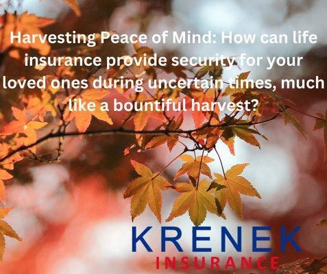 How can life insurance provide security for your loved ones during uncertain times, much like a bountiful Harvest?