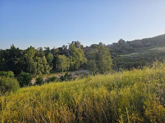 View southwest towards the entrance of the park from the initial incline.