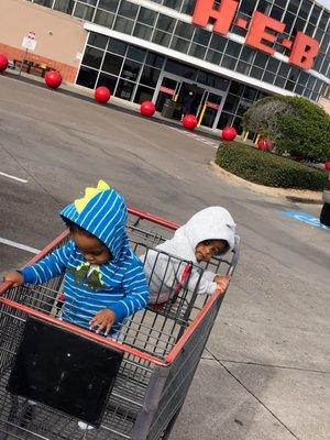 No carts for 2 kids