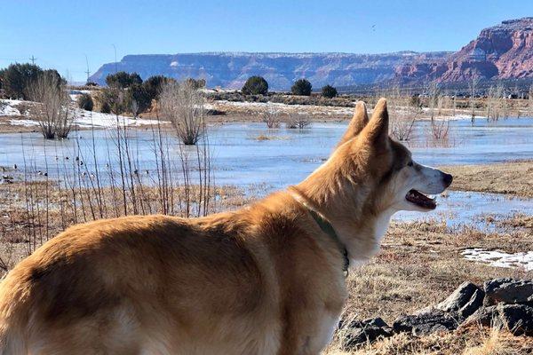 Kanab Veterinary Hospital