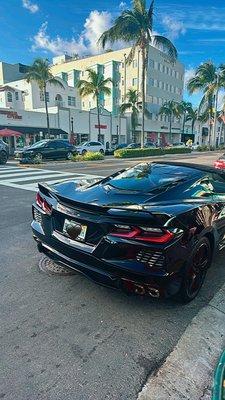 Dubai Exotic 305