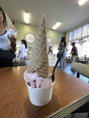 Double scoop - strawberry / rocky road!