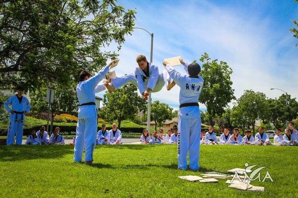 Black Belt summer camp July 2015