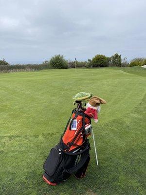 Golf cart finally died on the 14th hole, walked 2 holes after then the cart guy brought us out a new cart to finish.