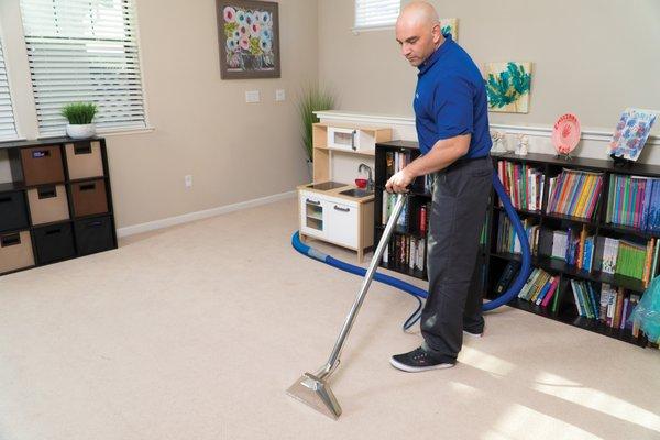 Carpet Cleaning