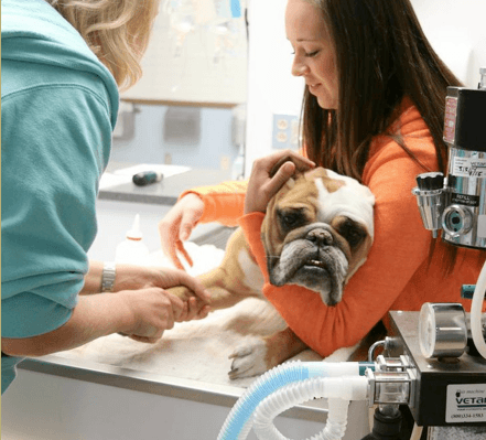 Parkside Animal Hospital