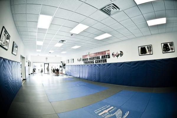 Kurt Pellegrino's Mixed Martial Arts Academy