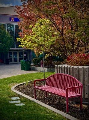 Beautiful colors today 10/30/24 when I came in for early voting.