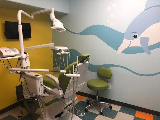 Dolphin Operatory Room