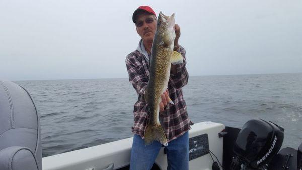 Huge walleyes from Mille lacs Lake Minnesota