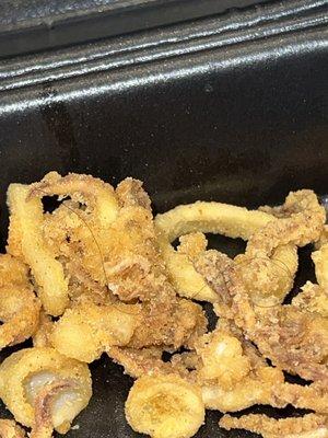 Hair in calamari.