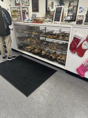 New location, same great selection of excellent bagels