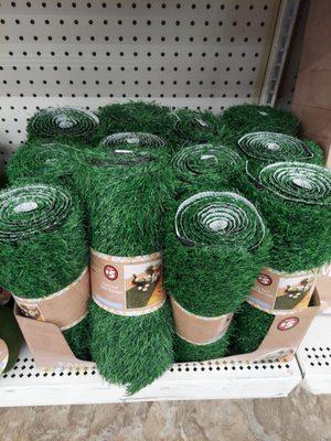 $5 Artificial turf