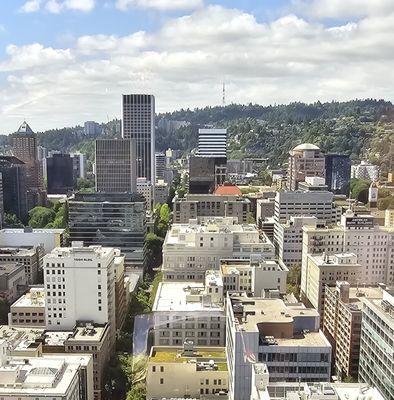 INTELLEQUITY- View from the conference room.