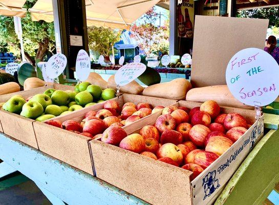 Fall produce starting to roll out