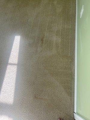 Stains that weren't removed