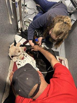 She lost a large amount of blood during surgery and needed a blood transfusion, here she is being prepped.