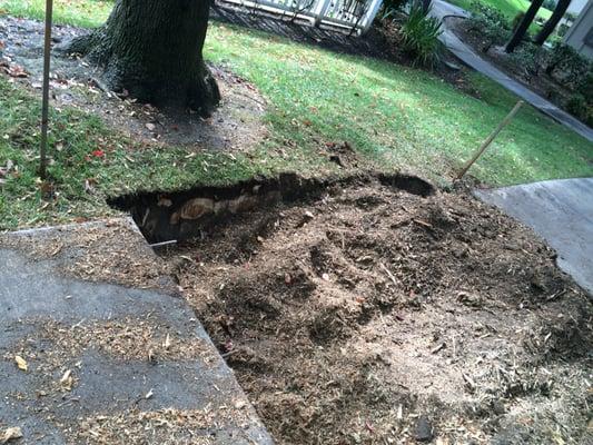 Before. Roots were causing major damage to the sidewalk and creating a safety hazard.