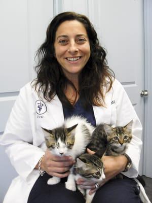 Dr M with kittens. She has 2 elder canines and 1 diabetic feline