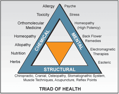 The Future is Holistic