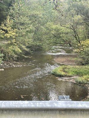 Creek looking down standing on the bride way.