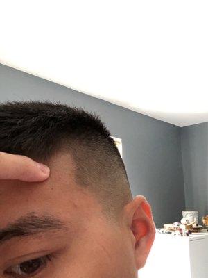 Where my fingers at is where my line up is supposed to be. This was also supposed to be the low fade the I asked for.