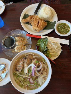 Chicken pho, fried chicken, and gyoza (some are eaten )