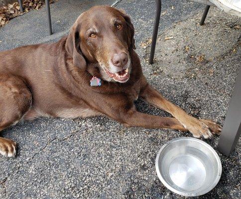 Pet friendly outside on the patio.