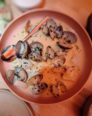 Manila Clams in a lemongrass coconut broth